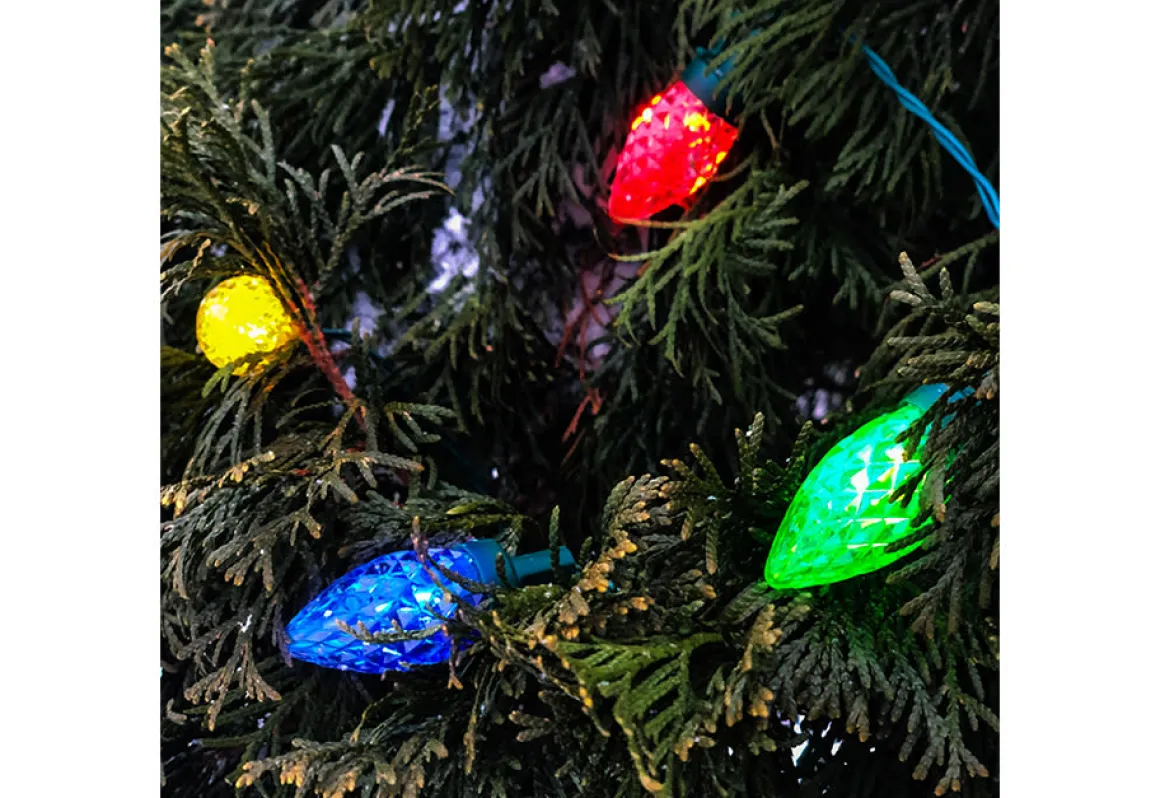 100 LED Battery Operated String Lights