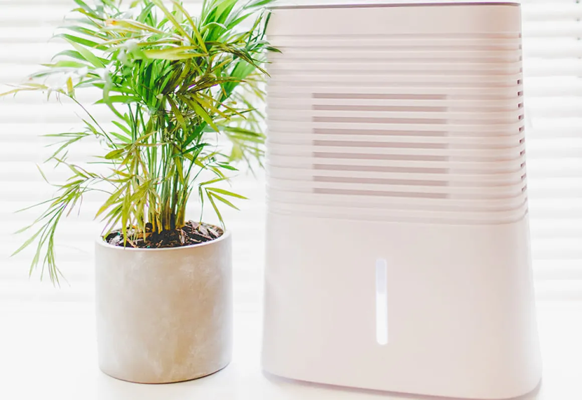 4 Pint Dehumidifier