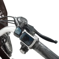 Adult Electric Tricycle