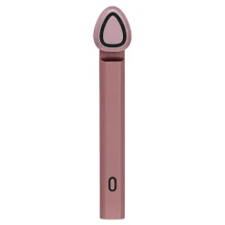 Anti-Aging Facial Wand