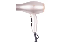 Anti-Frizz Hair Dryer