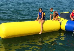 Aqua Log