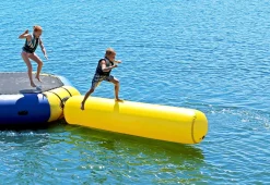 Aqua Log
