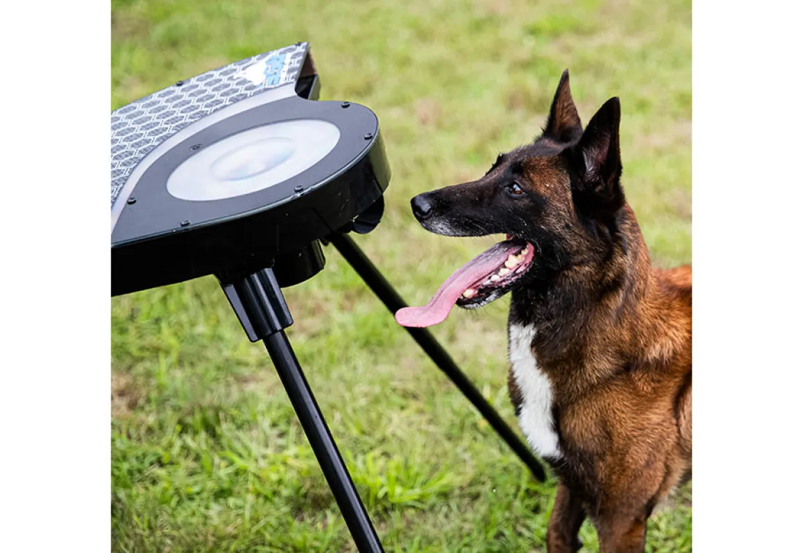 Automatic Dog Disc Launcher
