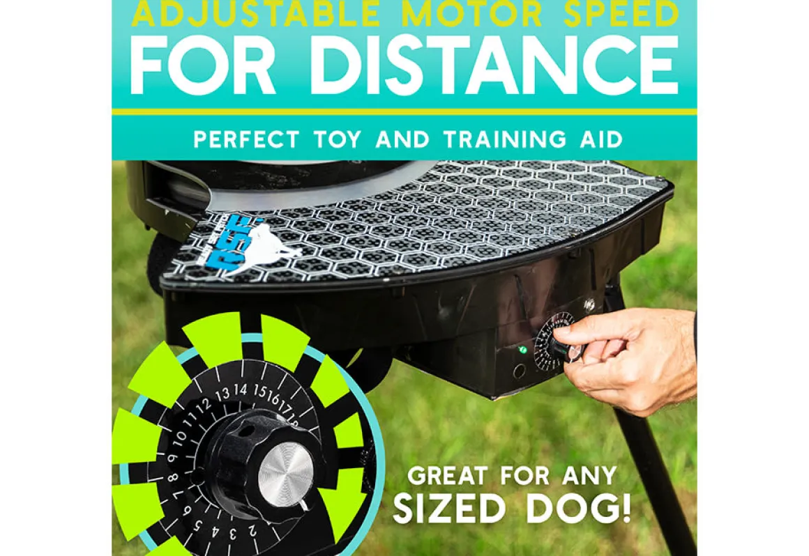Automatic Dog Disc Launcher