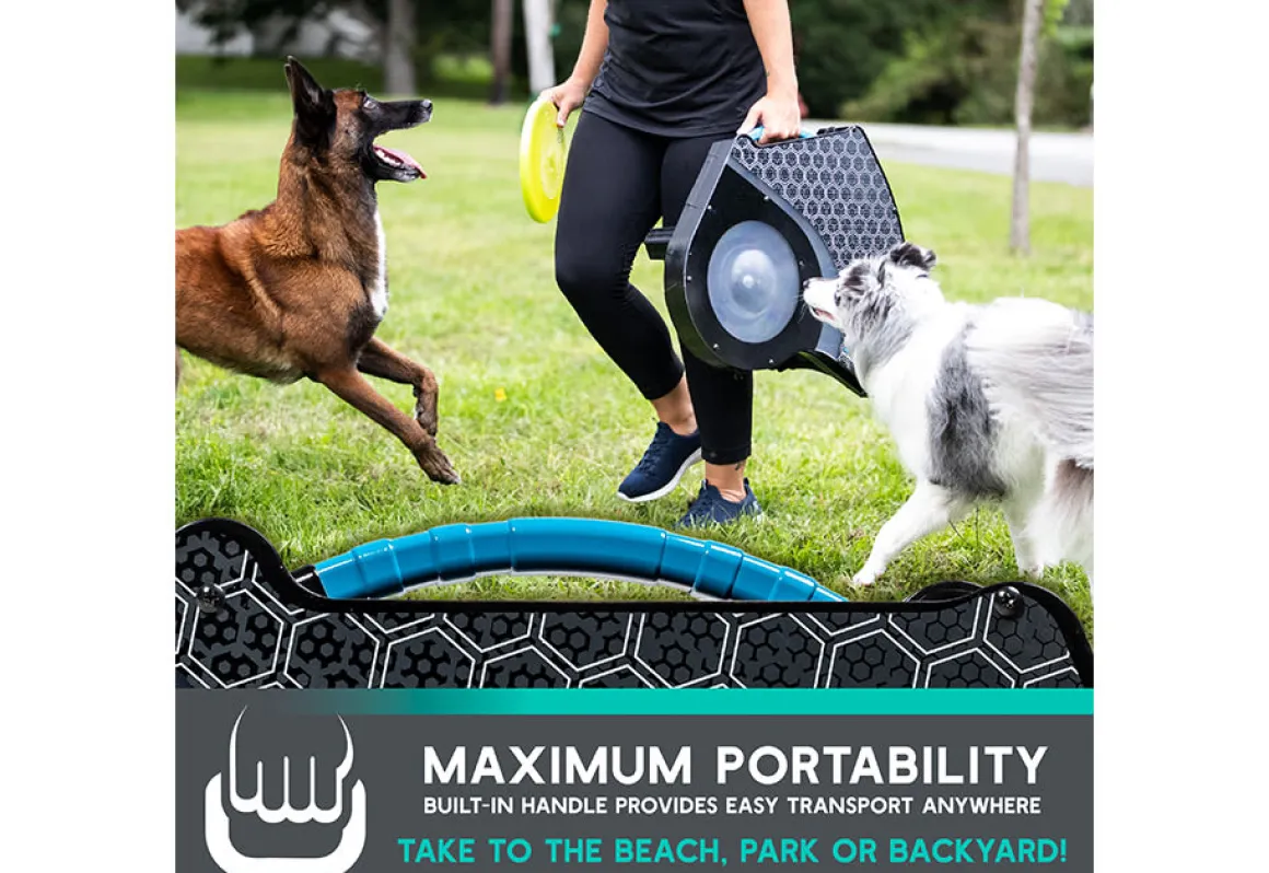 Automatic Dog Disc Launcher