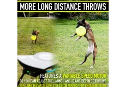 Automatic Dog Disc Launcher