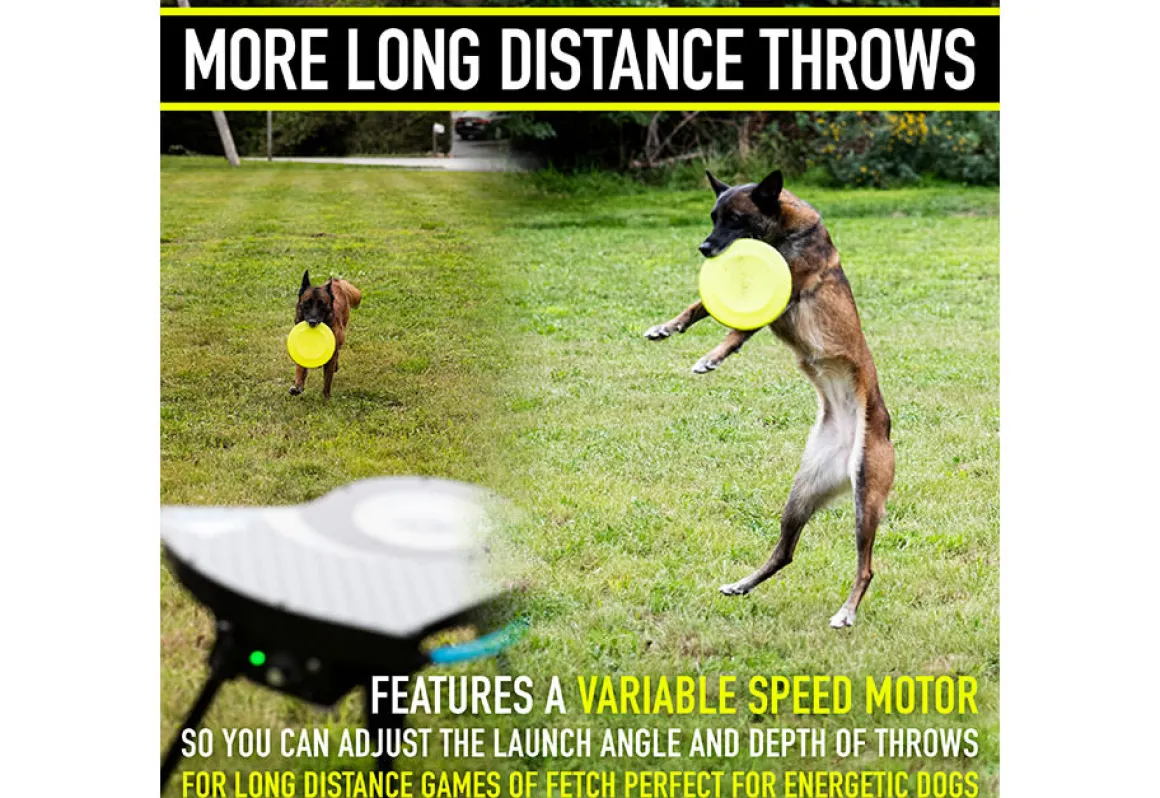 Automatic Dog Disc Launcher