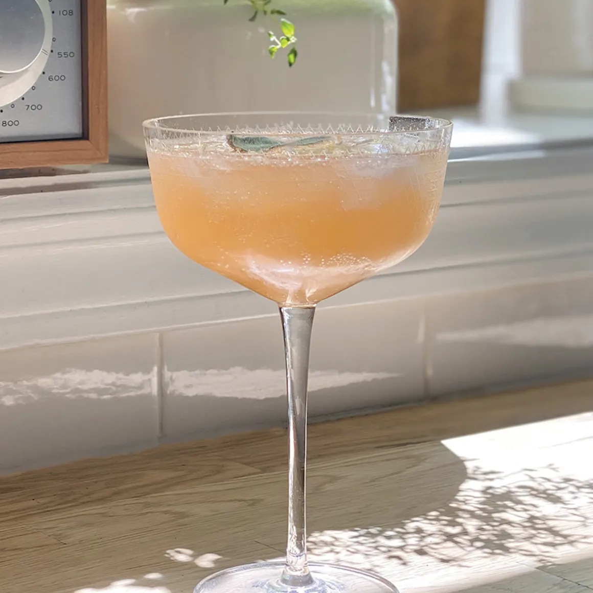 Big Brunch Cocktail Infusion Kit