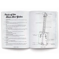 Blues Box Guitar System