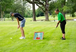 Chipping Challenge Game