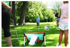 Chipping Challenge Game