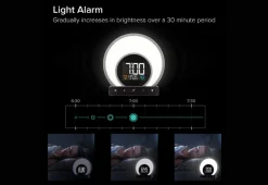 Circadian Rhythm Clock