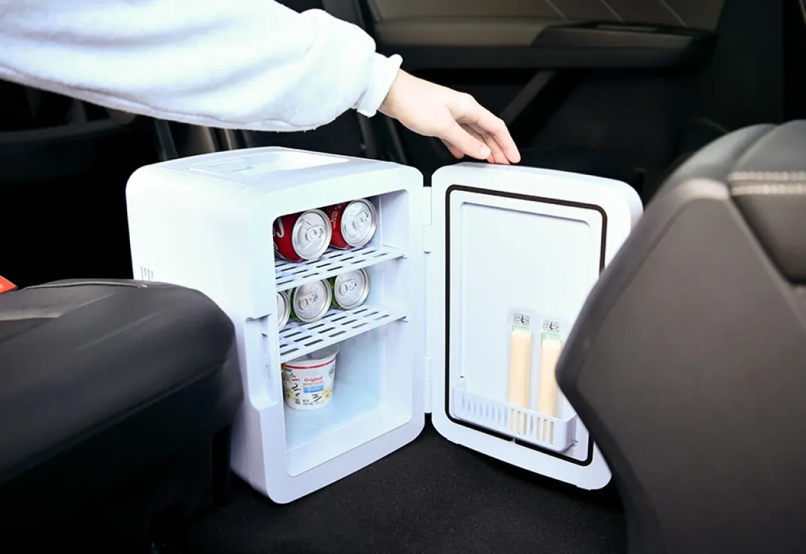 Cold/Warm Portable Mini Fridge