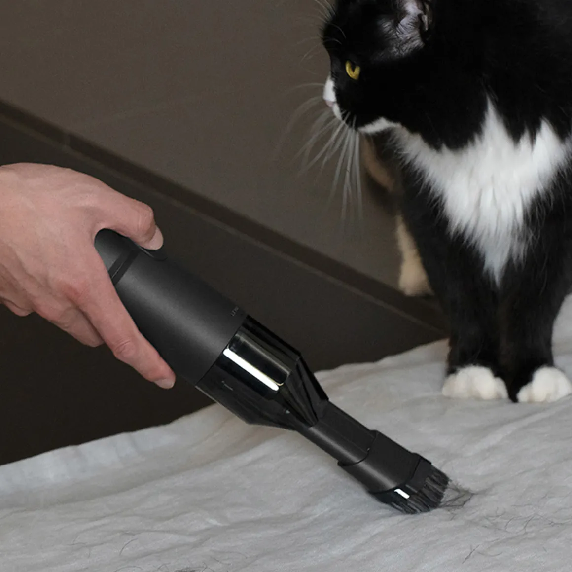 Compressed Air Vacuum and Blower
