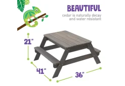 Convertible Sandbox with Table