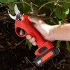 Cordless Electric Shears