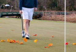 Cordless Golf Air Broom