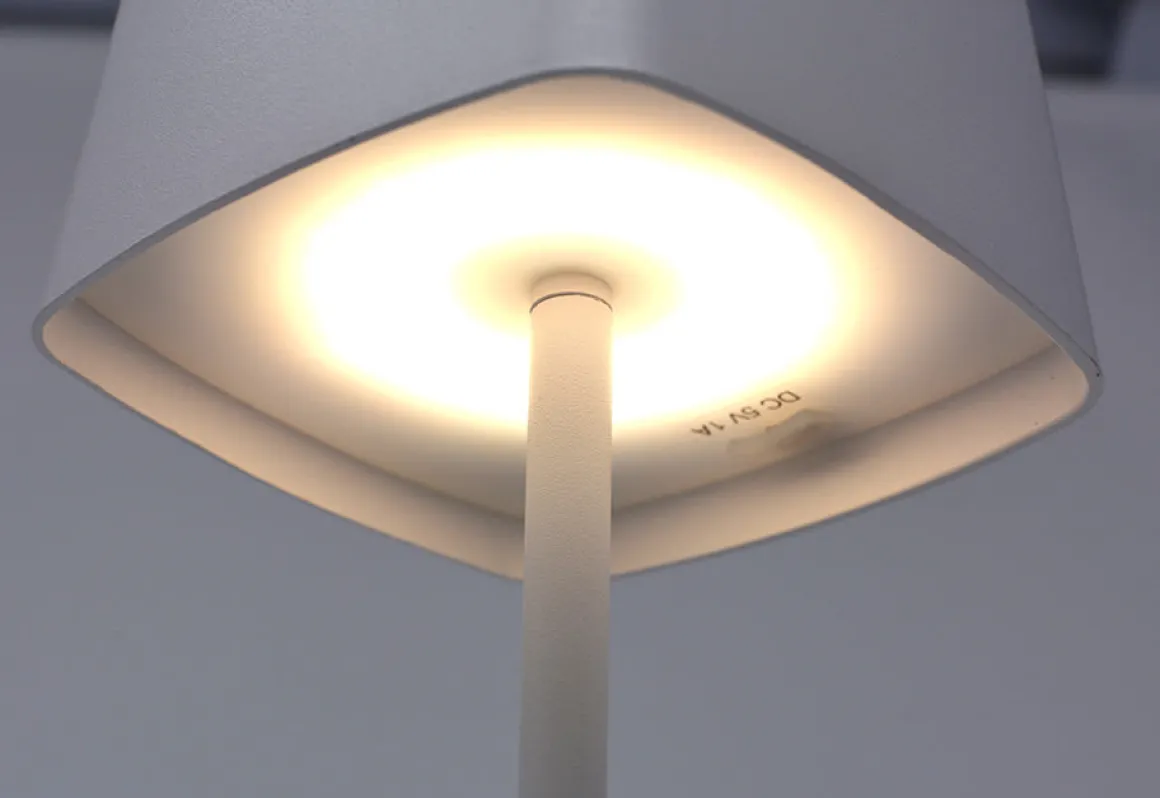 Cordless Indoor/Outdoor Lamp