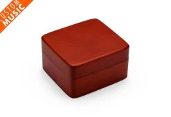Custom Music Jewelry Box