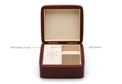 Custom Music Jewelry Box