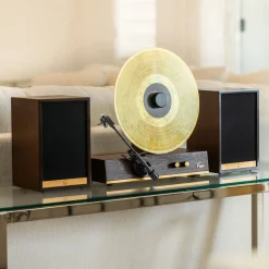 Deluxe Vertical Vinyl Player