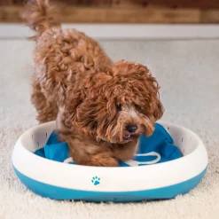 Digging Toy for Dogs
