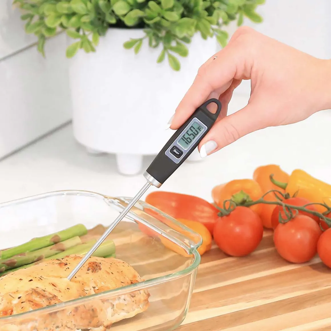 Digital Thermometer and Deep Fry Thermometer Set