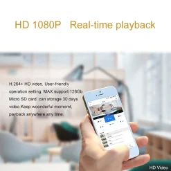 Discreet Day/Night Vision Camera