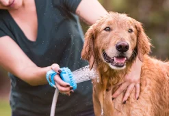 Dog Bath Brush Sprayer and Scrubber