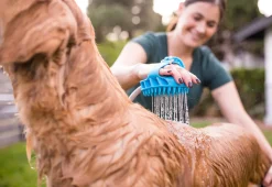 Dog Bath Brush Sprayer and Scrubber