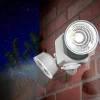 Dual LED Motion Light