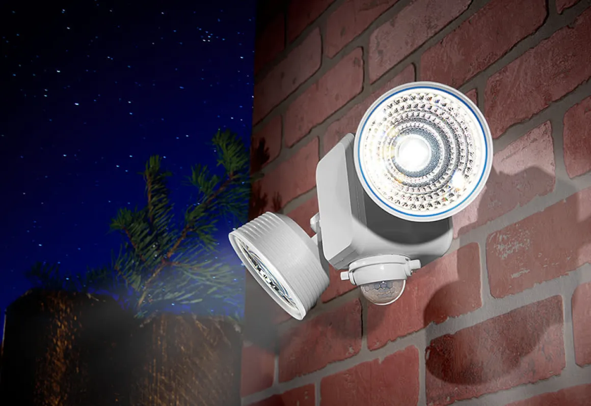 Dual LED Motion Light