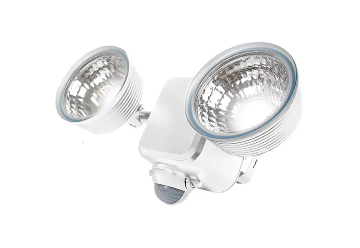 Dual LED Motion Light