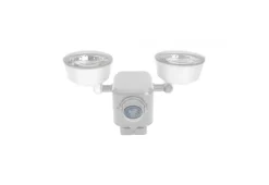 Dual LED Motion Light