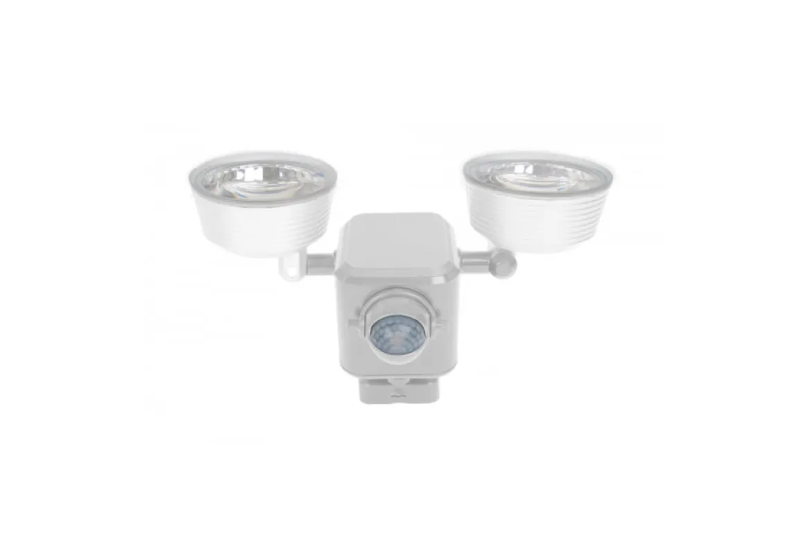 Dual LED Motion Light