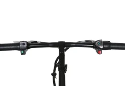 Electric Commuter Bike