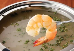 Electric Fondue Maker