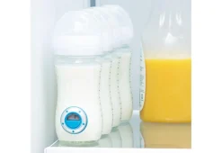 Fresh Time Digital Timer (6-Pack)