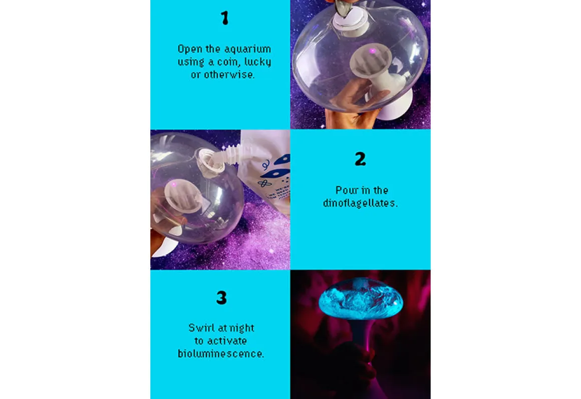 Glowing Plankton Aquarium