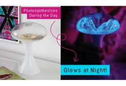 Glowing Plankton Aquarium