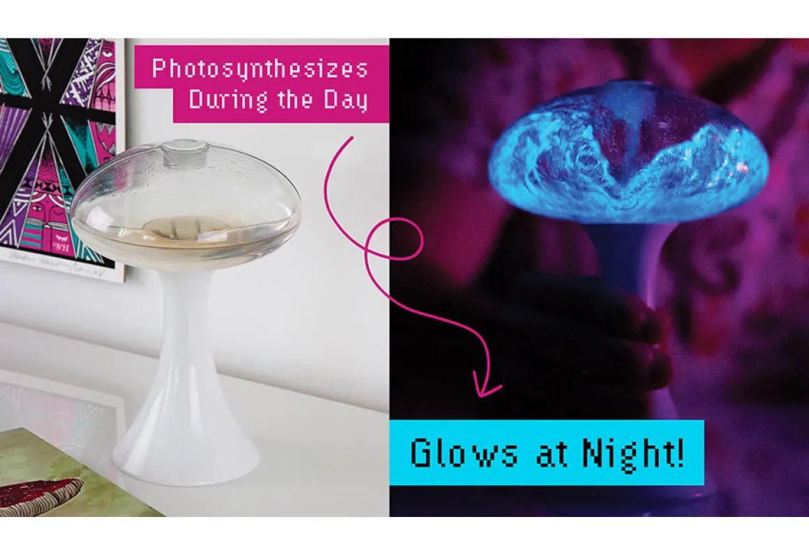 Glowing Plankton Aquarium