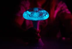 Glowing Plankton Aquarium