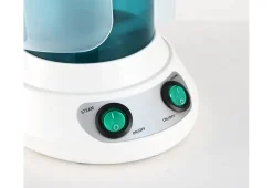 Hair and Facial Steamer