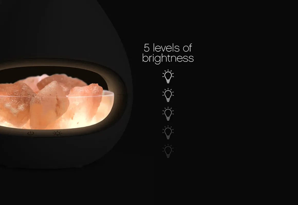Himalayan Salt Lamp and Diffuser