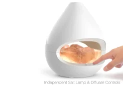 Himalayan Salt Lamp and Diffuser