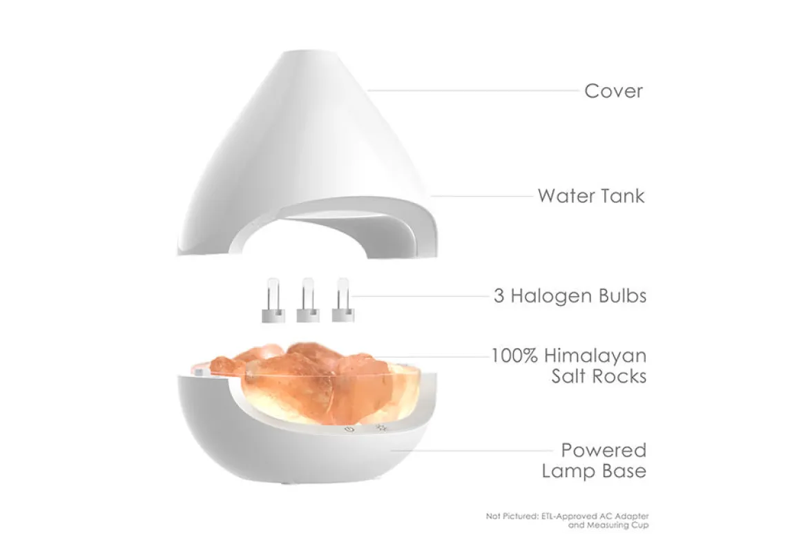 Himalayan Salt Lamp and Diffuser