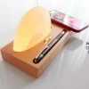 Himalayan Salt Wireless Charger