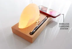 Himalayan Salt Wireless Charger