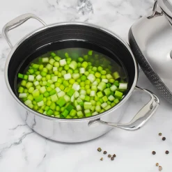 Hybrid Stock Pot with Lid